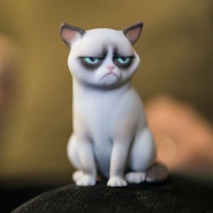 3D grumpy cat